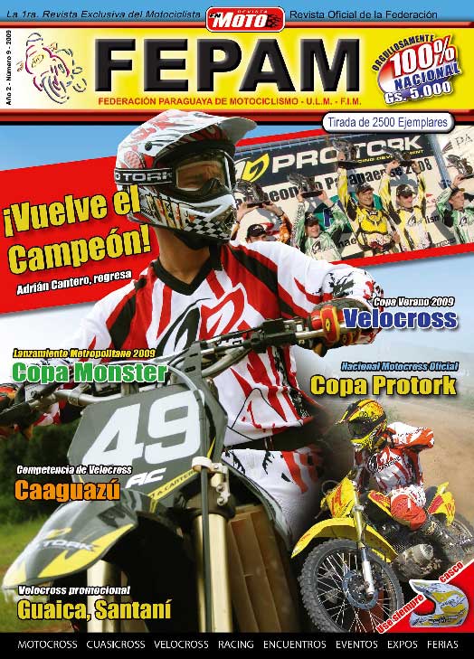 revista